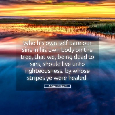Picture 05 - 1 Peter 2:24 KJV - Who his own self bare our sins in his own body on - Bible Verse Picture