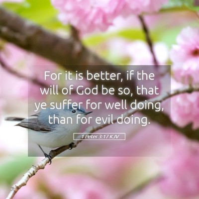 Picture 05 - 1 Peter 3:17 KJV - For it is better, if the will of God be so, that - Bible Verse Picture