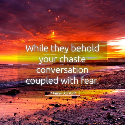Picture 05 - 1 Peter 3:2 KJV - While they behold your chaste conversation - Bible Verse Picture