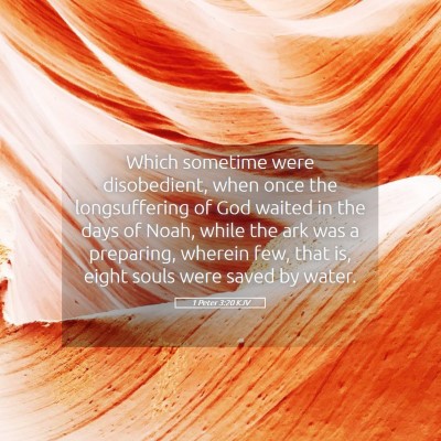 Picture 05 - 1 Peter 3:20 KJV - Which sometime were disobedient, when once the - Bible Verse Picture