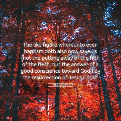 Picture 05 - 1 Peter 3:21 KJV - The like figure whereunto even baptism doth also - Bible Verse Picture