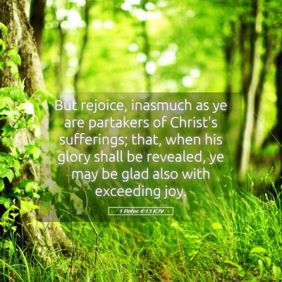 Picture 05 - 1 Peter 4:13 KJV - But rejoice, inasmuch as ye are partakers of - Bible Verse Picture