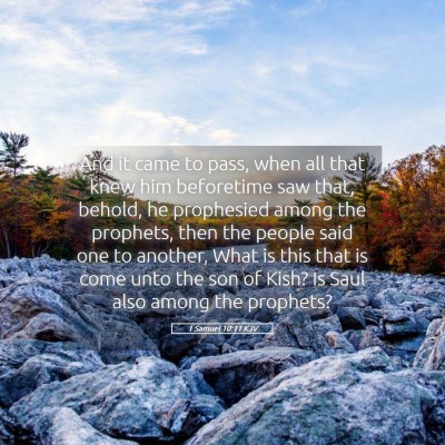 Picture 05 - 1 Samuel 10:11 KJV - And it came to pass, when all that knew him - Bible Verse Picture