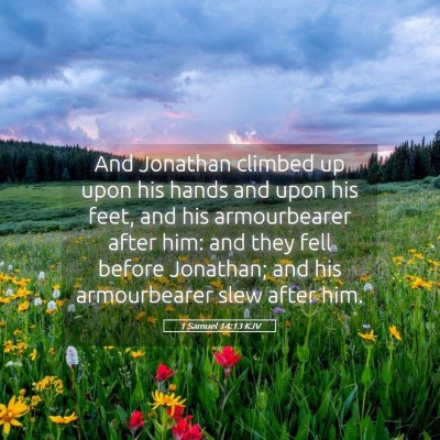 Picture 05 - 1 Samuel 14:13 KJV - And Jonathan climbed up upon his hands and upon - Bible Verse Picture