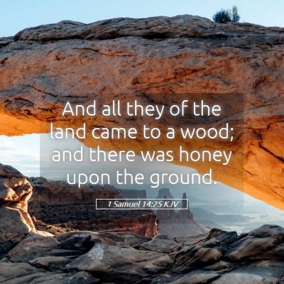 Picture 05 - 1 Samuel 14:25 KJV - And all they of the land came to a wood; and - Bible Verse Picture