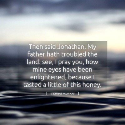 Picture 05 - 1 Samuel 14:29 KJV - Then said Jonathan, My father hath troubled the - Bible Verse Picture