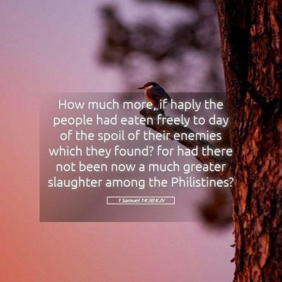 Picture 05 - 1 Samuel 14:30 KJV - How much more, if haply the people had eaten - Bible Verse Picture