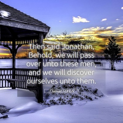 Picture 05 - 1 Samuel 14:8 KJV - Then said Jonathan, Behold, we will pass over - Bible Verse Picture