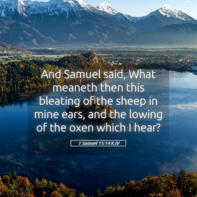 Picture 05 - 1 Samuel 15:14 KJV - And Samuel said, What meaneth then this bleating - Bible Verse Picture
