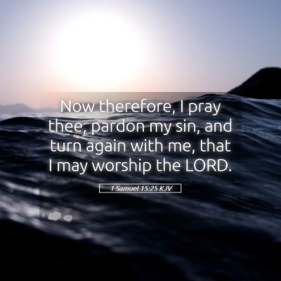 Picture 05 - 1 Samuel 15:25 KJV - Now therefore, I pray thee, pardon my sin, and - Bible Verse Picture