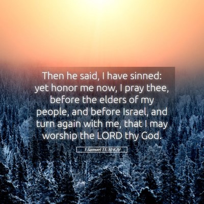 Picture 05 - 1 Samuel 15:30 KJV - Then he said, I have sinned: yet honor me now, I - Bible Verse Picture