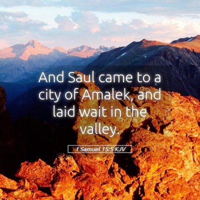 Picture 05 - 1 Samuel 15:5 KJV - And Saul came to a city of Amalek, and laid wait - Bible Verse Picture