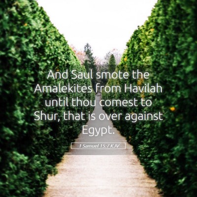 Picture 05 - 1 Samuel 15:7 KJV - And Saul smote the Amalekites from Havilah until - Bible Verse Picture