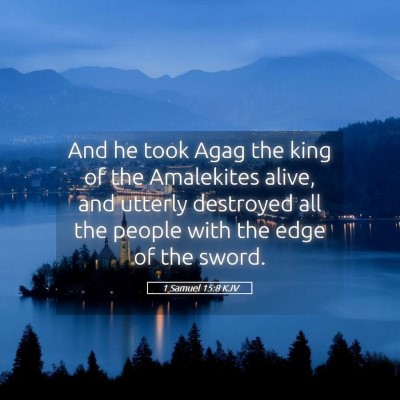 Picture 05 - 1 Samuel 15:8 KJV - And he took Agag the king of the Amalekites - Bible Verse Picture