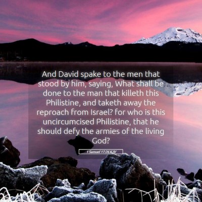 Picture 05 - 1 Samuel 17:26 KJV - And David spake to the men that stood by him, - Bible Verse Picture