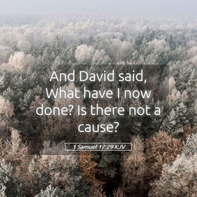 Picture 05 - 1 Samuel 17:29 KJV - And David said, What have I now done? Is there - Bible Verse Picture