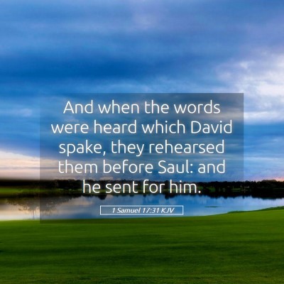 Picture 05 - 1 Samuel 17:31 KJV - And when the words were heard which David spake, - Bible Verse Picture