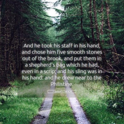 Picture 05 - 1 Samuel 17:40 KJV - And he took his staff in his hand, and chose him - Bible Verse Picture