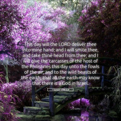 Picture 05 - 1 Samuel 17:46 KJV - This day will the LORD deliver thee into mine - Bible Verse Picture
