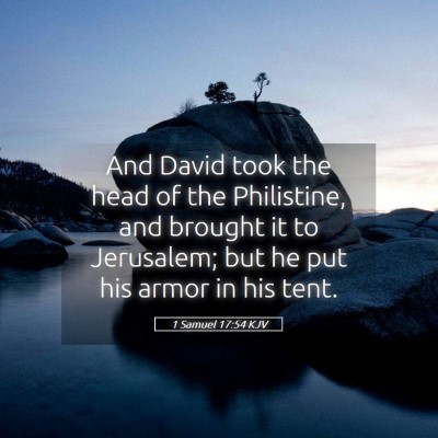 Picture 05 - 1 Samuel 17:54 KJV - And David took the head of the Philistine, and - Bible Verse Picture