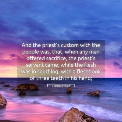 Picture 05 - 1 Samuel 2:13 KJV - And the priest's custom with the people was, - Bible Verse Picture