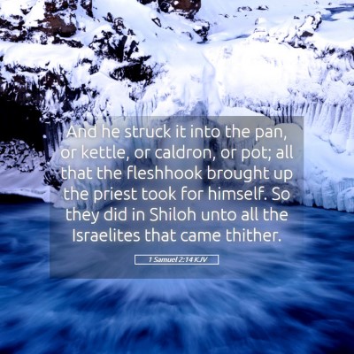 Picture 05 - 1 Samuel 2:14 KJV - And he struck it into the pan, or kettle, or - Bible Verse Picture