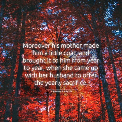 Picture 05 - 1 Samuel 2:19 KJV - Moreover his mother made him a little coat, and - Bible Verse Picture