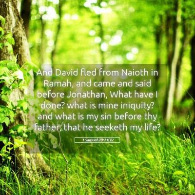 Picture 05 - 1 Samuel 20:1 KJV - And David fled from Naioth in Ramah, and came and - Bible Verse Picture