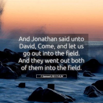 Picture 05 - 1 Samuel 20:11 KJV - And Jonathan said unto David, Come, and let us go - Bible Verse Picture