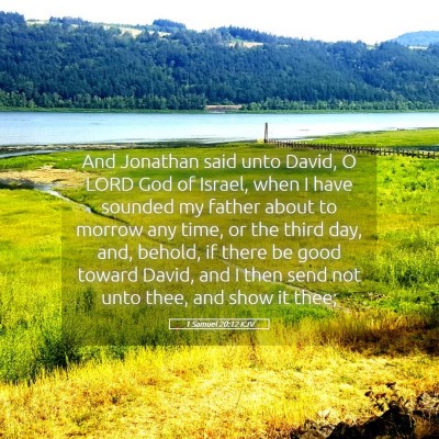 Picture 05 - 1 Samuel 20:12 KJV - And Jonathan said unto David, O LORD God of - Bible Verse Picture