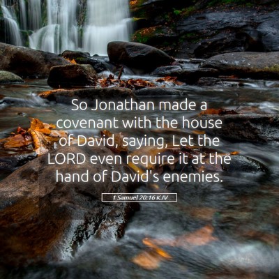 Picture 05 - 1 Samuel 20:16 KJV - So Jonathan made a covenant with the house of - Bible Verse Picture