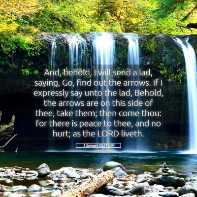 Picture 05 - 1 Samuel 20:21 KJV - And, behold, I will send a lad, saying, Go, find - Bible Verse Picture
