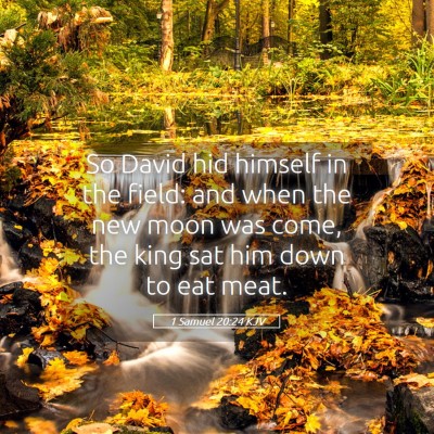 Picture 05 - 1 Samuel 20:24 KJV - So David hid himself in the field: and when the - Bible Verse Picture