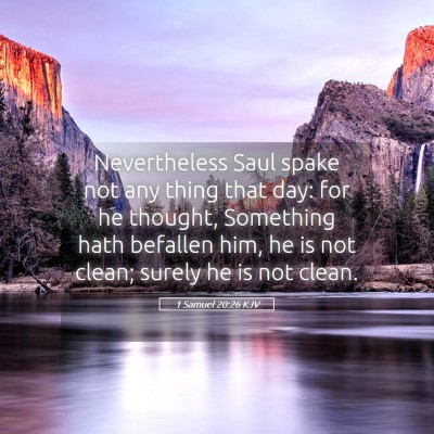Picture 05 - 1 Samuel 20:26 KJV - Nevertheless Saul spake not any thing that day: - Bible Verse Picture