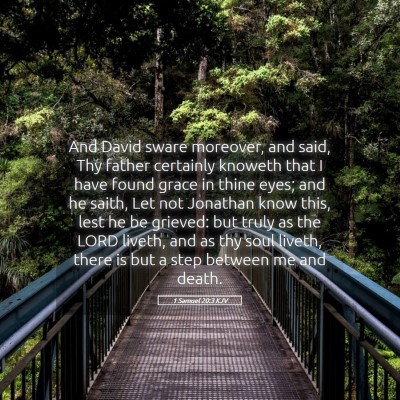 Picture 05 - 1 Samuel 20:3 KJV - And David sware moreover, and said, Thy father - Bible Verse Picture