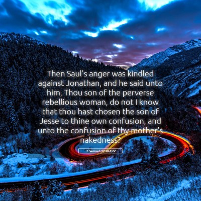 Picture 05 - 1 Samuel 20:30 KJV - Then Saul's anger was kindled against Jonathan, - Bible Verse Picture