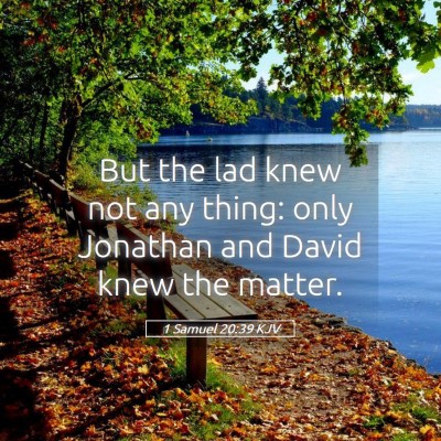 Picture 05 - 1 Samuel 20:39 KJV - But the lad knew not any thing: only Jonathan and - Bible Verse Picture