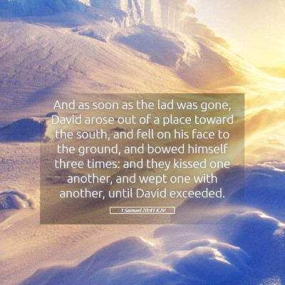 Picture 05 - 1 Samuel 20:41 KJV - And as soon as the lad was gone, David arose out - Bible Verse Picture