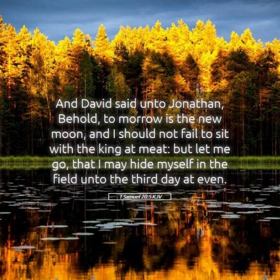 Picture 05 - 1 Samuel 20:5 KJV - And David said unto Jonathan, Behold, to morrow - Bible Verse Picture
