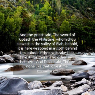 Picture 05 - 1 Samuel 21:9 KJV - And the priest said, The sword of Goliath the - Bible Verse Picture