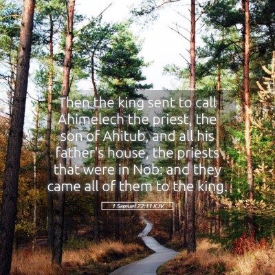 Picture 05 - 1 Samuel 22:11 KJV - Then the king sent to call Ahimelech the priest, - Bible Verse Picture