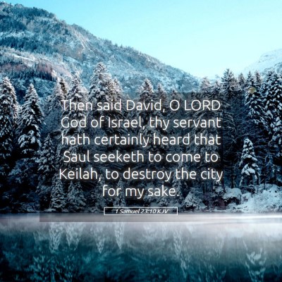 Picture 05 - 1 Samuel 23:10 KJV - Then said David, O LORD God of Israel, thy - Bible Verse Picture