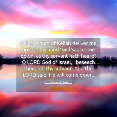 Picture 05 - 1 Samuel 23:11 KJV - Will the men of Keilah deliver me up into his - Bible Verse Picture