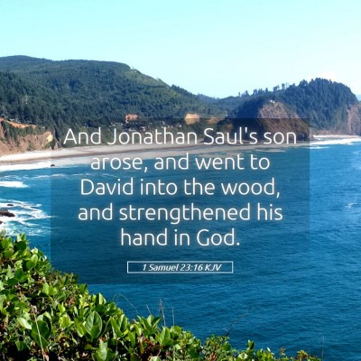 Picture 05 - 1 Samuel 23:16 KJV - And Jonathan Saul's son arose, and went to David - Bible Verse Picture