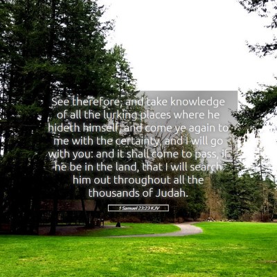 Picture 05 - 1 Samuel 23:23 KJV - See therefore, and take knowledge of all the - Bible Verse Picture