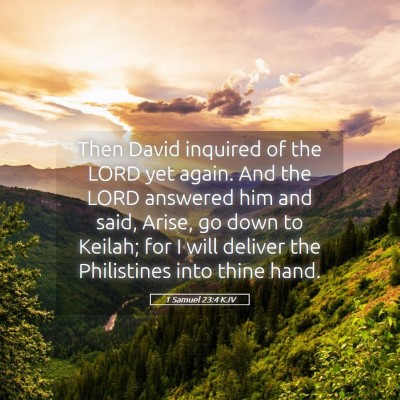 Picture 05 - 1 Samuel 23:4 KJV - Then David inquired of the LORD yet again. And - Bible Verse Picture