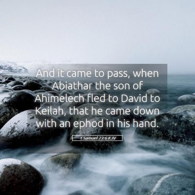Picture 05 - 1 Samuel 23:6 KJV - And it came to pass, when Abiathar the son of - Bible Verse Picture