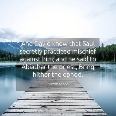 Picture 05 - 1 Samuel 23:9 KJV - And David knew that Saul secretly practiced - Bible Verse Picture