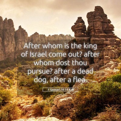 Picture 05 - 1 Samuel 24:14 KJV - After whom is the king of Israel come out? after - Bible Verse Picture