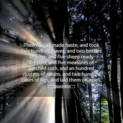 Picture 05 - 1 Samuel 25:18 KJV - Then Abigail made haste, and took two hundred - Bible Verse Picture